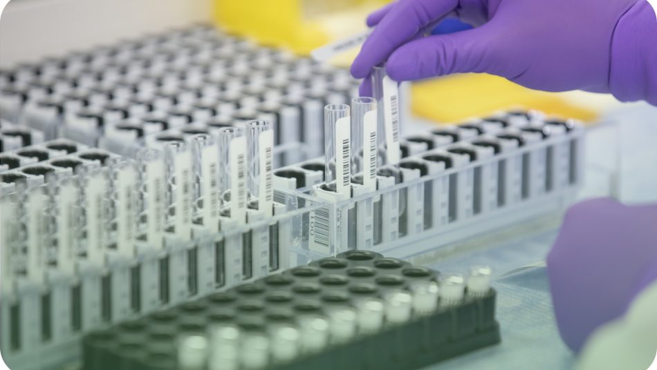 A purple gloved hand adding a test tube to a test tube holder